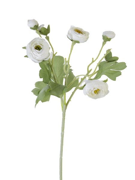 Picture of 19" RANUNCULUS SPRAY