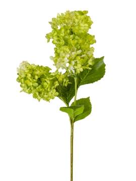 Picture of 38" HYDRANGEA SPRAY