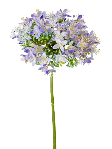Picture of 27" ONION FLOWERS SPRAY