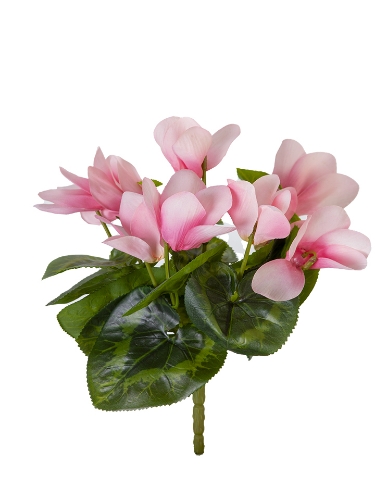 Picture of 9" UV PROTECTED CYCLAMEN BUSH