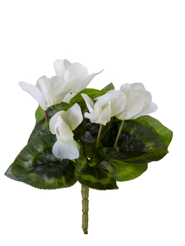 Picture of 9" UV PROTECTED CYCLAMEN BUSH