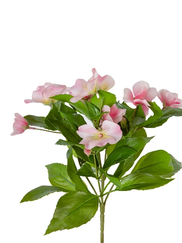 Picture of 10" UV PROTECTED IMPATIENS BUSH