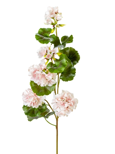 Picture of 36" UV PROTECTED GERANIUM SPRAY