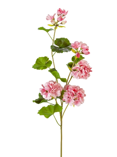 Picture of 36" UV PROTECTED GERANIUM SPRAY