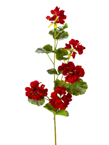 Picture of 36" UV PROTECTED GERANIUM SPRAY