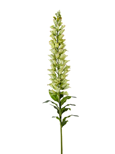 Picture of 66" UV PROTECTED FOXGLOVE SPRAY