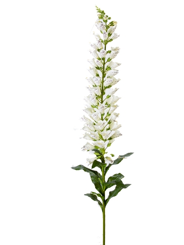 Picture of 66" UV PROTECTED FOXGLOVE SPRAY