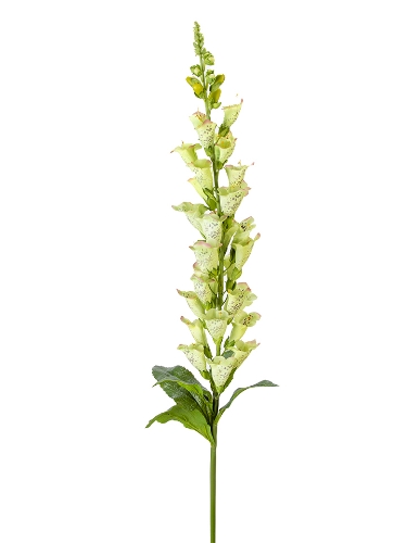 Picture of 42" UV PROTECTED FOXGLOVE SPRAY