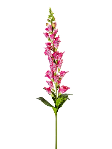 Picture of 42" UV PROTECTED FOXGLOVE SPRAY