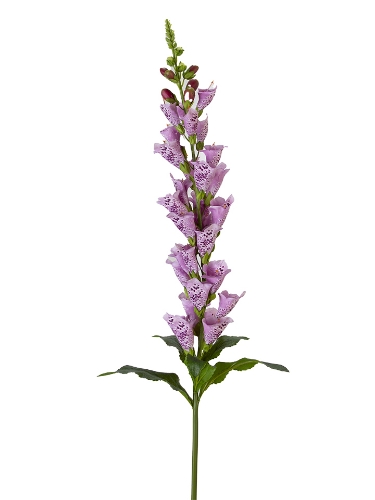 Picture of 42" UV PROTECTED FOXGLOVE SPRAY