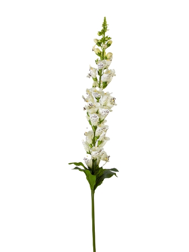 Picture of 42" UV PROTECTED FOXGLOVE SPRAY