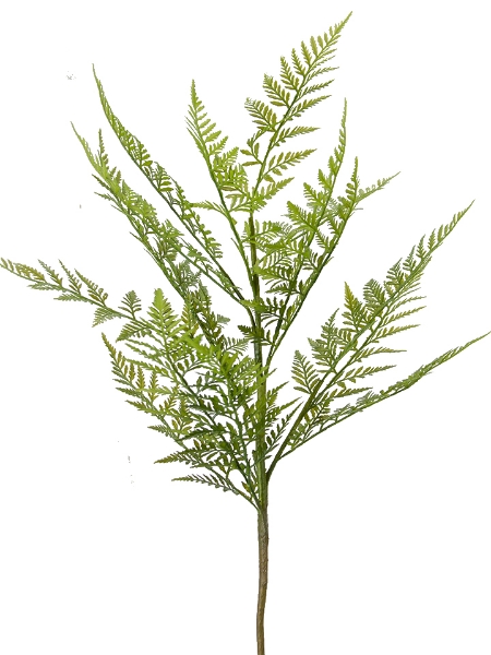 Picture of 33" FERN SPRAY