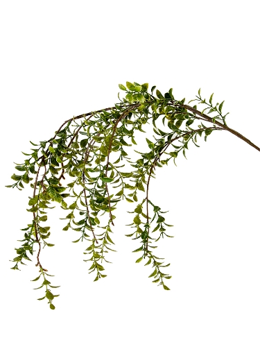 Picture of 45" HANGING PRIVET SPRAY