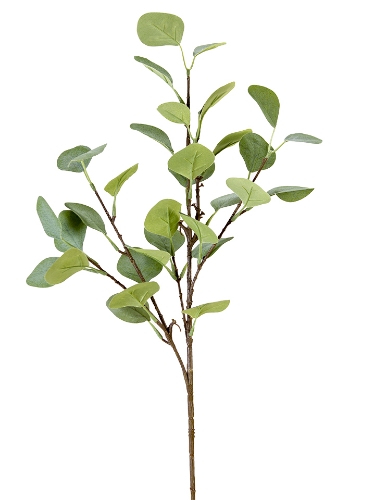 Picture of 28" OVAL EUCALYPTUS SPRAY