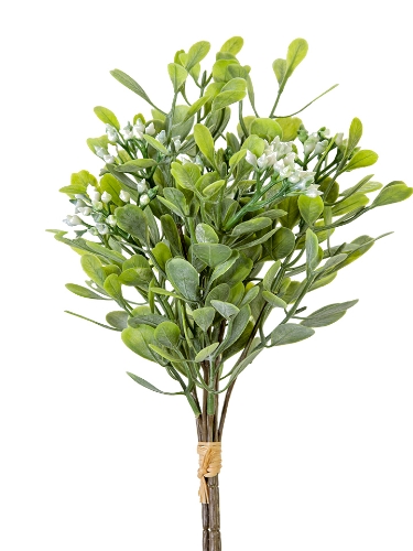 Picture of 15" EUCALYPTUS BERRY  BUNDLE