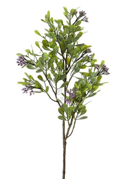 Picture of 27" EUCALYPTUS BERRY SPRAY