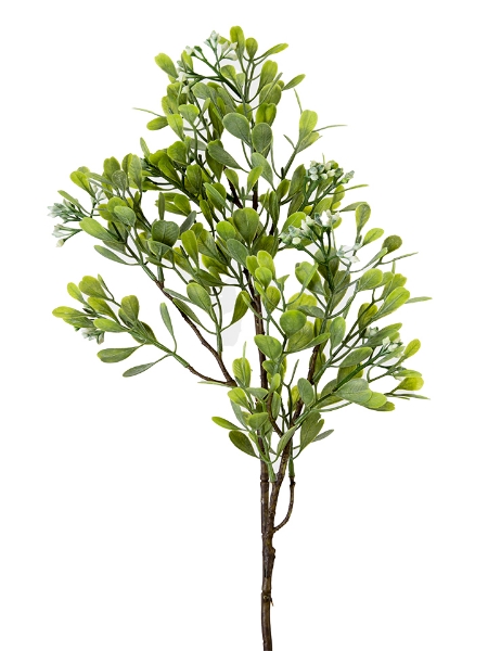 Picture of 27" EUCALYPTUS BERRY SPRAY