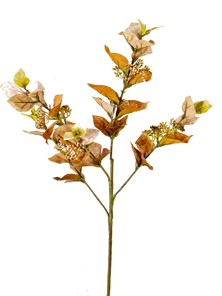 Picture of 33" EUCALYPTUS SPRAY