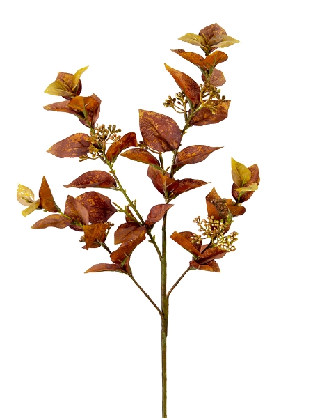 Picture of 33" EUCALYPTUS SPRAY