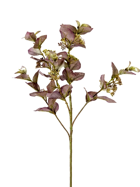 Picture of 33" EUCALYPTUS SPRAY