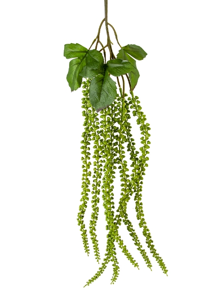 Picture of 33" DRAPING SUCCULENTS SPRAY