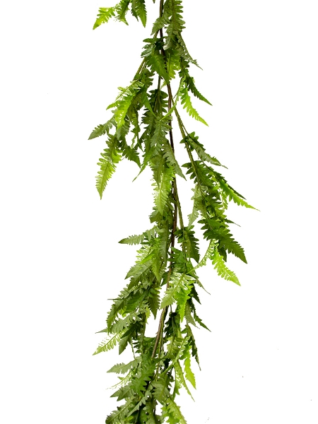 Picture of 8' FERN GARLAND