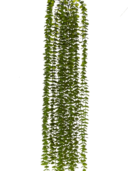 Picture of 39" EUCALYPTUS HANGING SPRAY