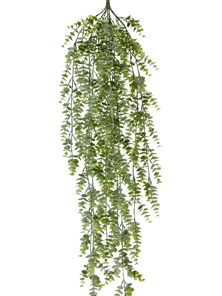 Picture of 40"EUCALYPTUS HANGING BUSH