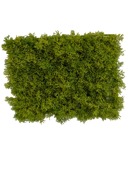 Picture of 10"X10" FERN MOSS MAT
