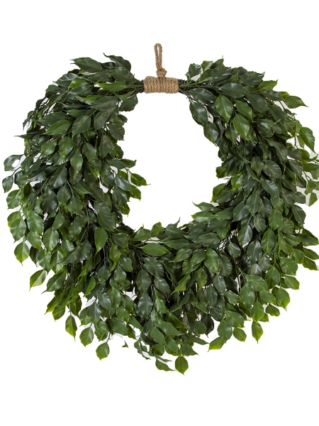 Picture of 27" FICUS HANGING  WREATH