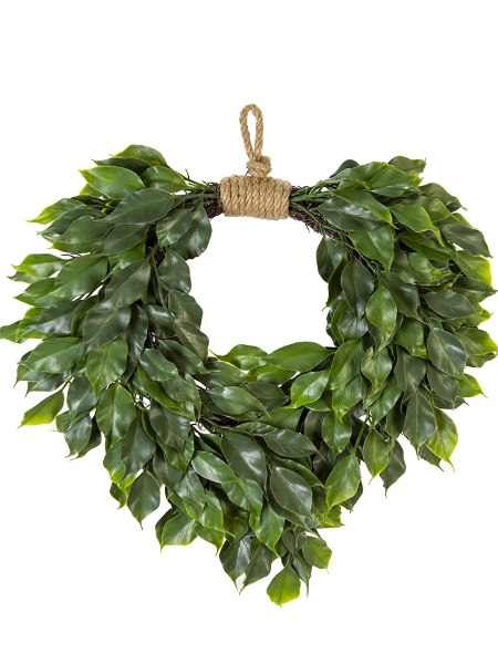 Picture of 18" FICUS  HANGING WREATH