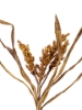 Picture of 19" DRIED SORGHUM SPRAY WITH LEAVES