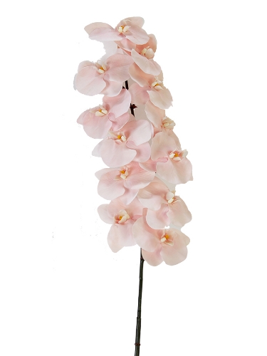 Picture of 42" REAL TOUCH PHALAENOPSIS