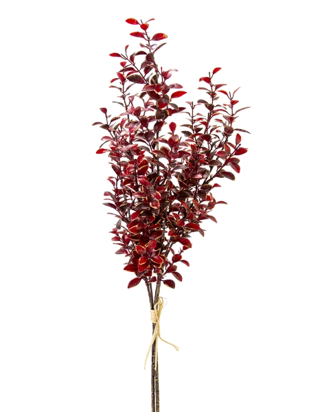 Picture of 27" PRIVET BUNDLE