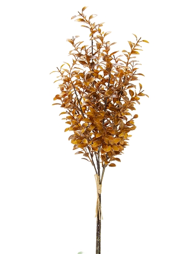 Picture of 27" PRIVET  BUNDLE