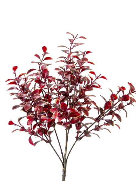 Picture of 13" PRIVET LVS BUSH