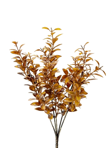 Picture of 13" PRIVET LVS BUSH