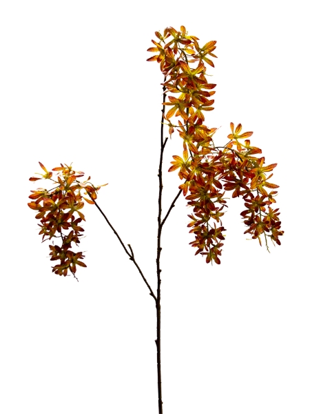 Picture of 46" HANGING ORCHIDS SPRAY