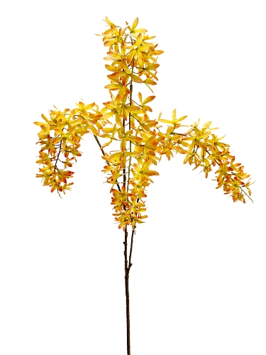 Picture of 46" HANGING ORCHIDS SPRAY
