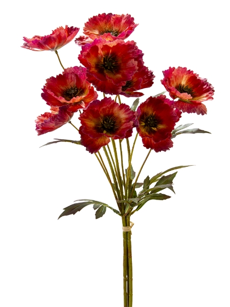 Picture of 28" POPPY BUNDLE