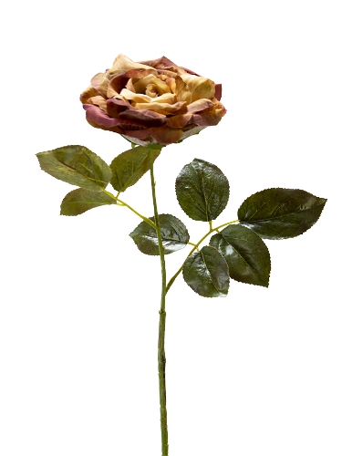 Picture of 26" ROSE STEM