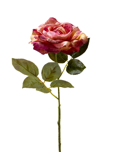 Picture of 26" ROSE STEM
