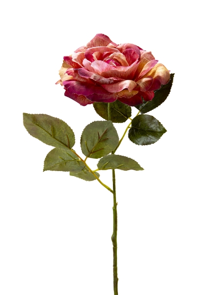 Picture of 26" ROSE STEM