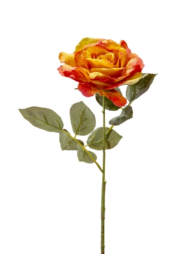 Picture of 26" ROSE STEM