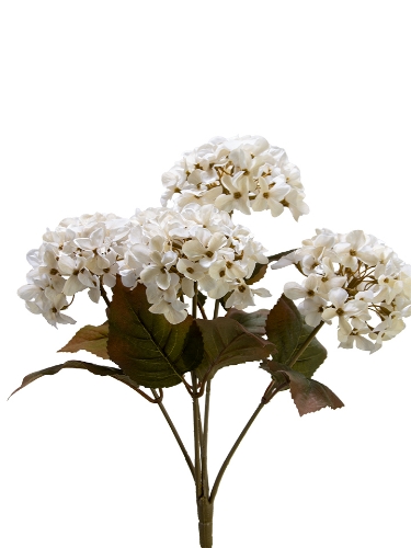 Picture of 17" HYDRANGEA BUSH