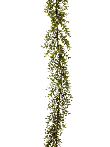 Picture of 6' PRIVET  GARLAND