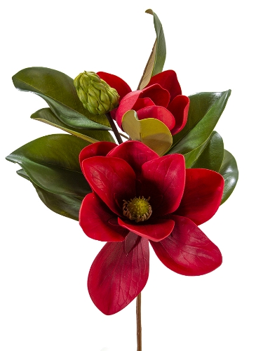 Picture of 20" MAGNOLIA BUDS LEAVES PICK