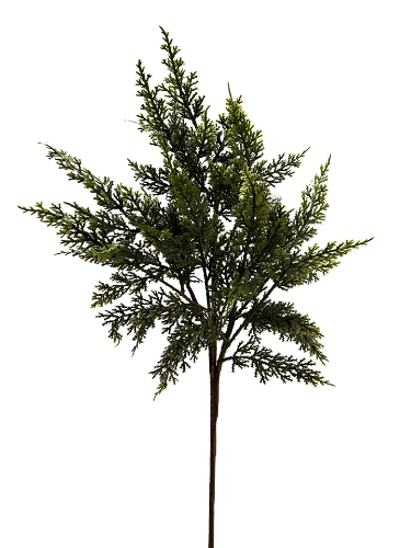 Picture of 25" CYPRESS SPRAY