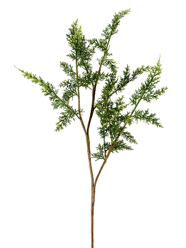 Picture of 35" CYPRESS SPRAY