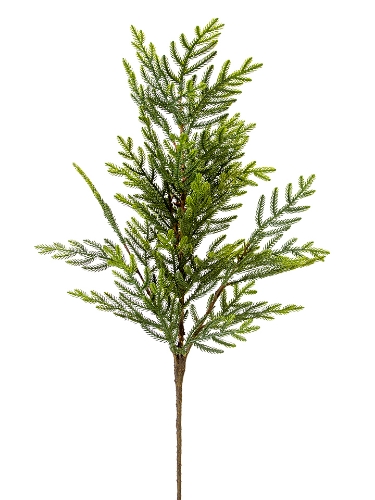 Picture of 34" CYPRESS SPRAY